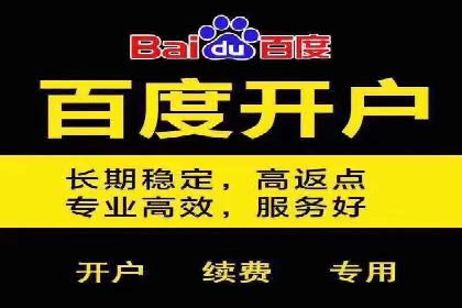 某某SEM服务公司成功案例：提升品牌曝光度